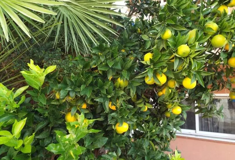 ベッドアンドブレックファースト Casa Mallarenga Rooms