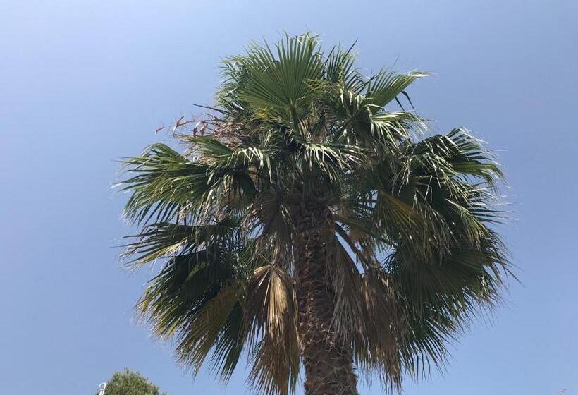 ベッドアンドブレックファースト Casa Mallarenga Rooms