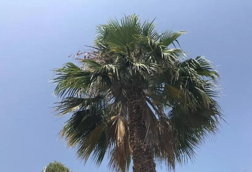 ベッドアンドブレックファースト Casa Mallarenga Rooms