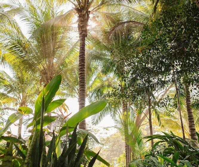 هتل Mandala Eco Villas