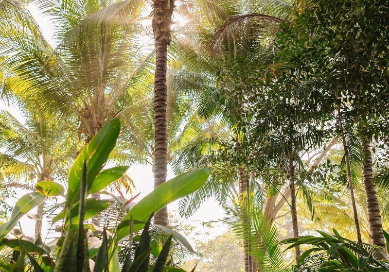 هتل Mandala Eco Villas