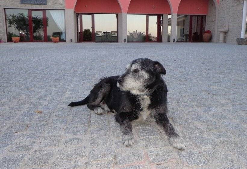 בית מלון כפרי Kazas Do Serado