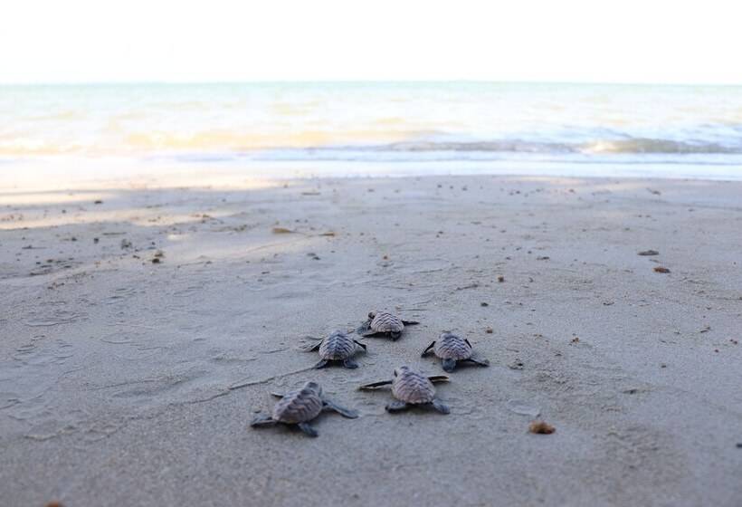 בית מלון כפרי The Residence Bintan