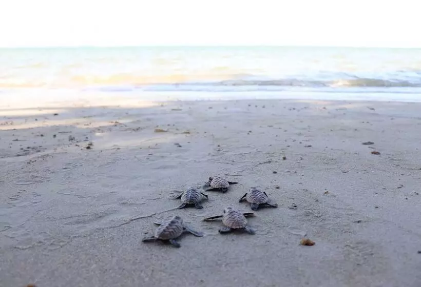 Hotelli The Residence Bintan