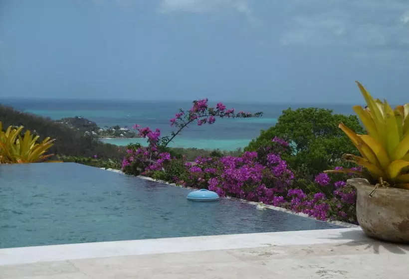 Villa Amazing