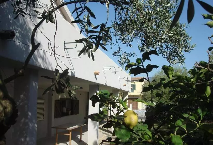 Aamiaismajoitus (B&B) Grazia Deledda