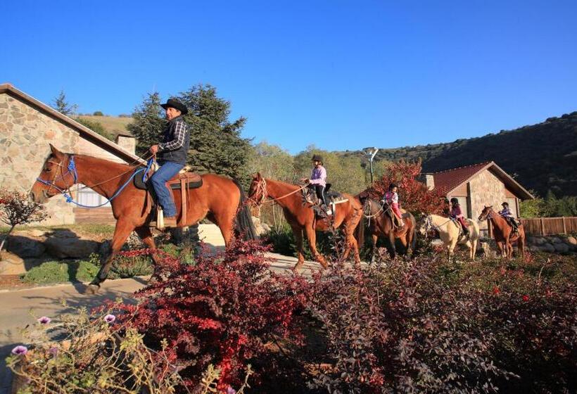 Hotel Merom Golan Resort