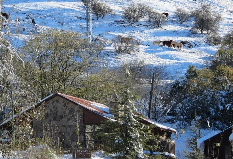 Hotel Merom Golan Resort