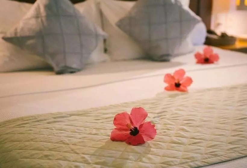 Hotel Pausa
