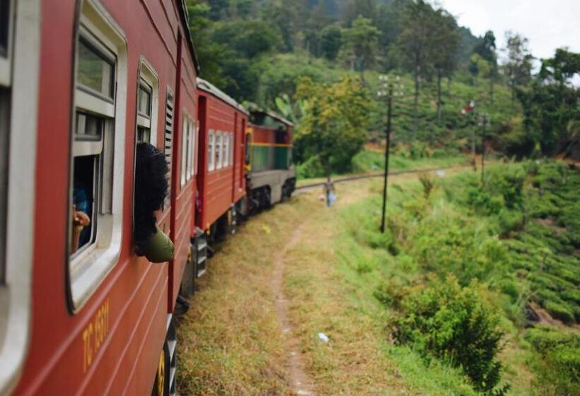 فندق The Mist Holiday Bungalow