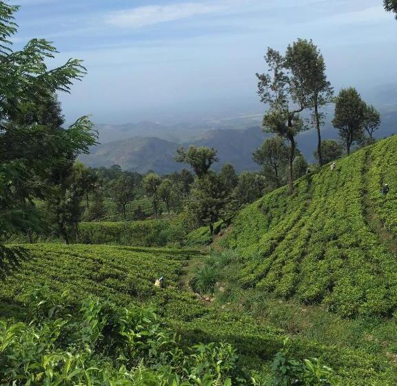فندق The Mist Holiday Bungalow