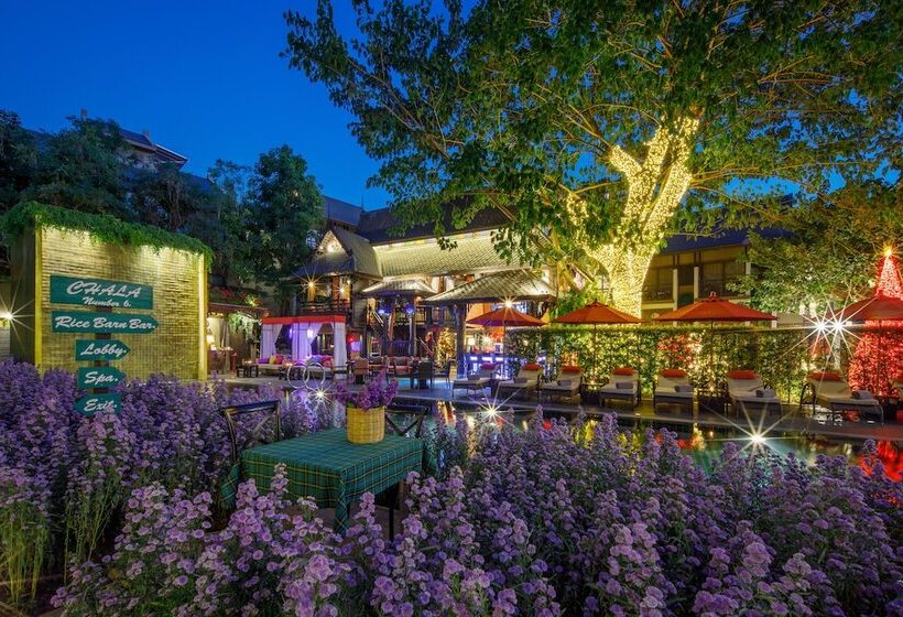 هتل Chala Number 6