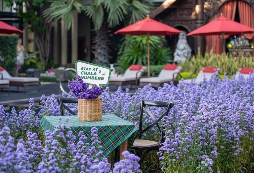 هتل Chala Number 6