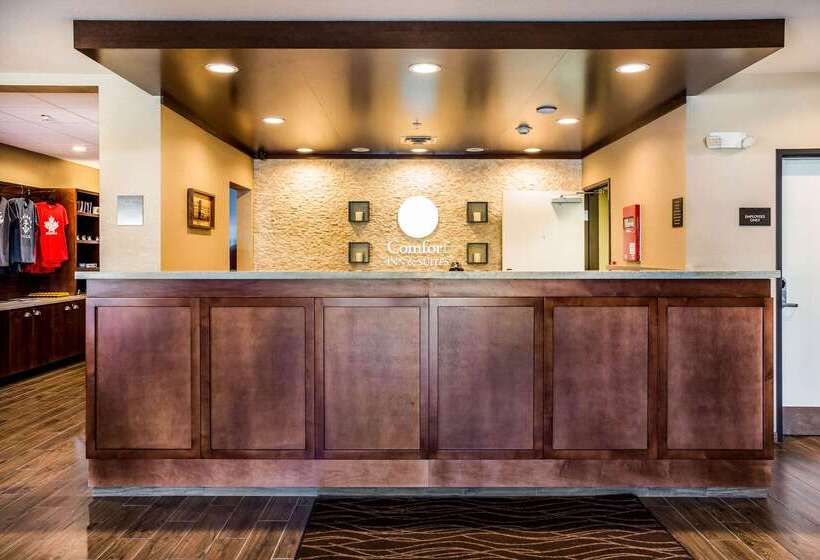 فندق Comfort Inn & Suites Niagara Falls Blvd Usa