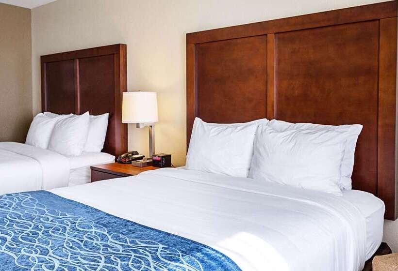 فندق Comfort Inn & Suites Niagara Falls Blvd Usa
