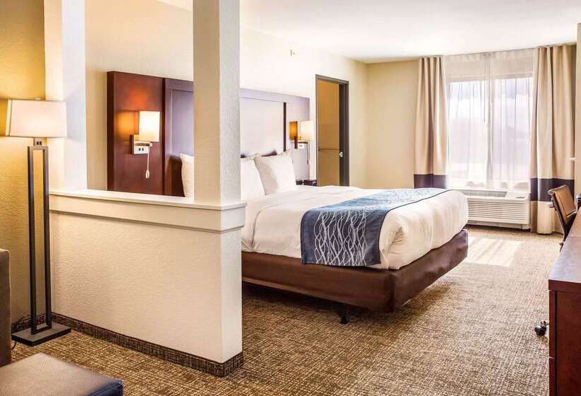 فندق Comfort Inn & Suites Niagara Falls Blvd Usa