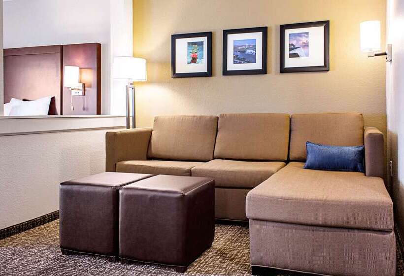 فندق Comfort Inn & Suites Niagara Falls Blvd Usa