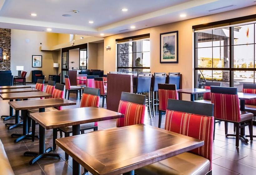 فندق Comfort Inn & Suites Niagara Falls Blvd Usa