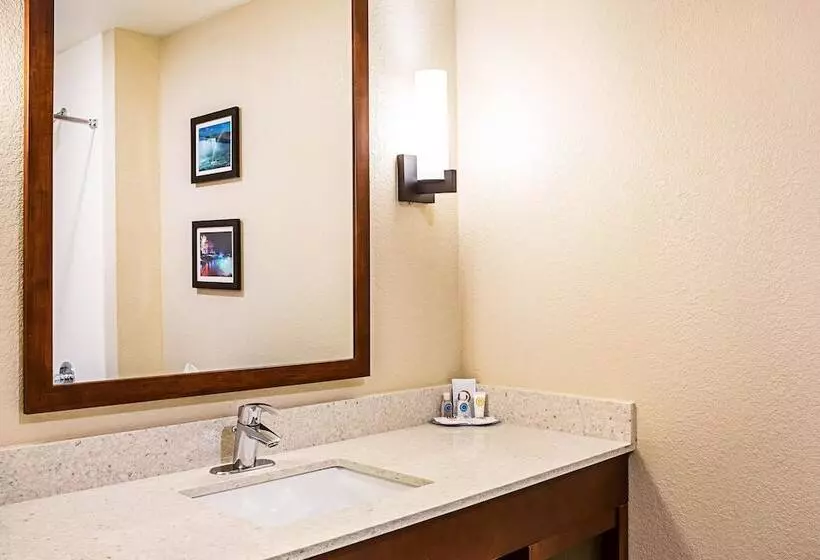 هتل Comfort Inn & Suites Niagara Falls Blvd Usa