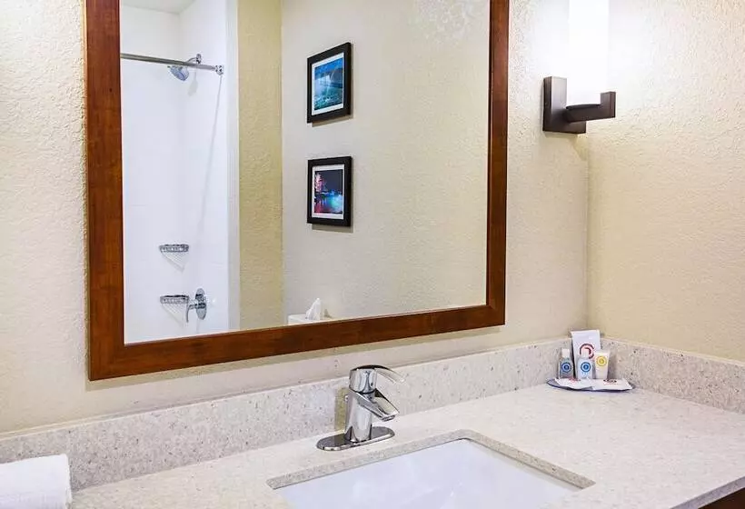 هتل Comfort Inn & Suites Niagara Falls Blvd Usa