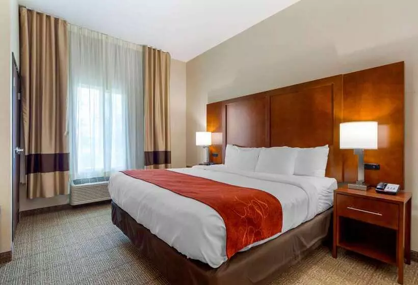 Hotelli Comfort Suites La Vista  Omaha