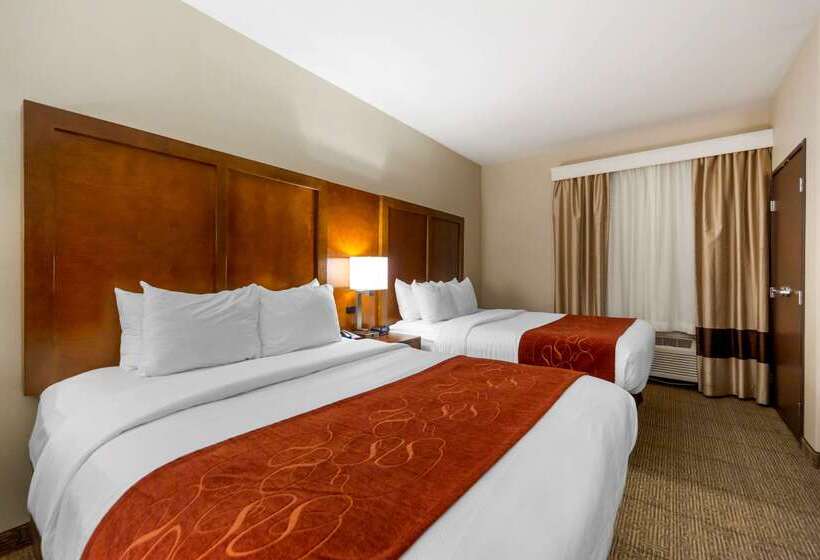 ホテル Comfort Suites La Vista  Omaha
