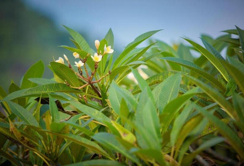 ホテル Sunset Beach Villa S