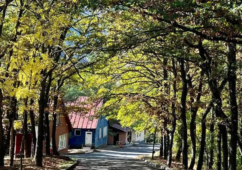 Park Resort Aghveran