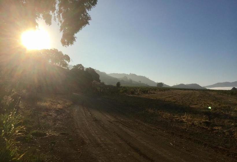 مبيت وإفطار Rustridge Ranch & Winery