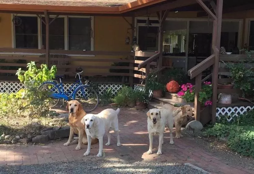 تختخواب و صبحانه Rustridge Ranch & Winery