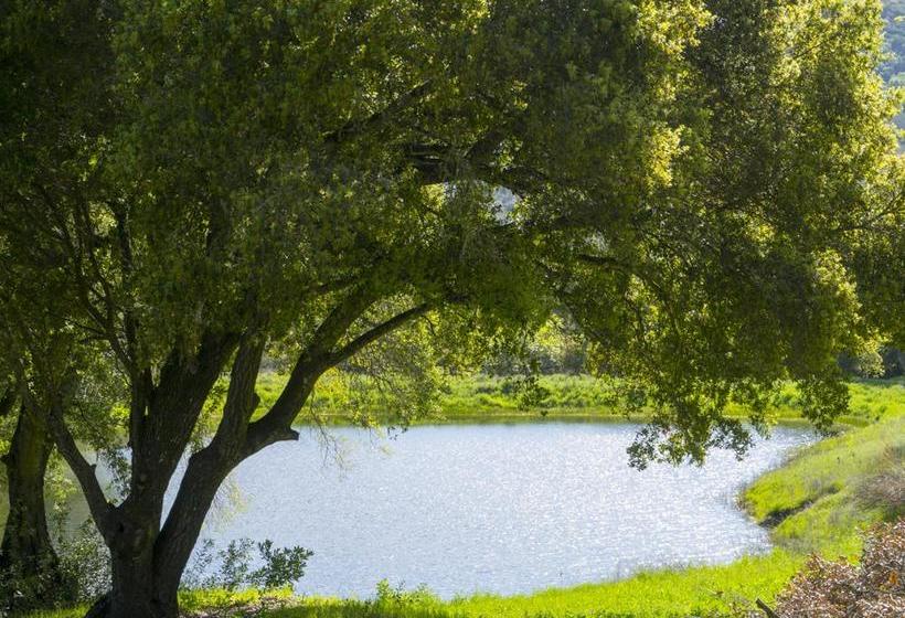 مبيت وإفطار Rustridge Ranch & Winery