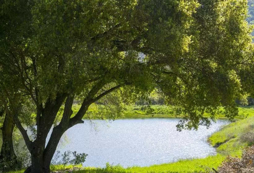 تختخواب و صبحانه Rustridge Ranch & Winery