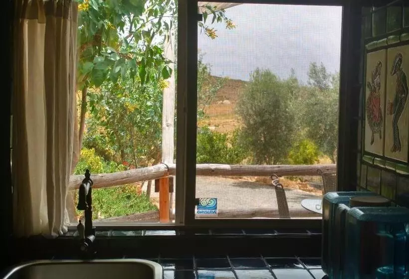 Aamiaismajoitus (B&B) Vinofilia Wine Country Inn