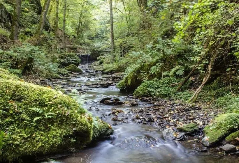 Hotelli Hochwald Lodge