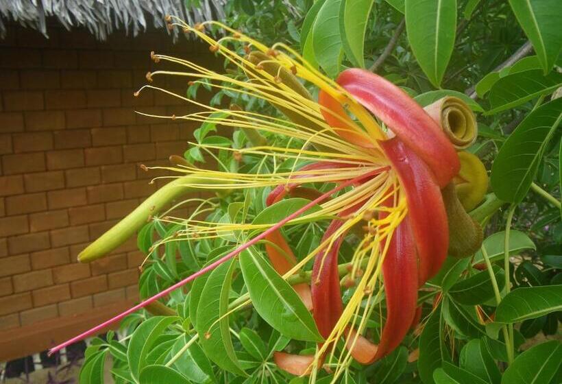 هتل Lakana Ramena