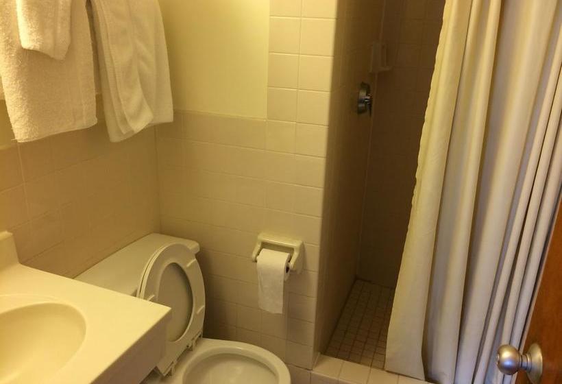 酒店 Seafarers International House