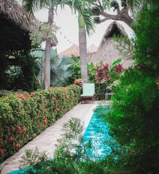 هاستل Primaluna Palomino