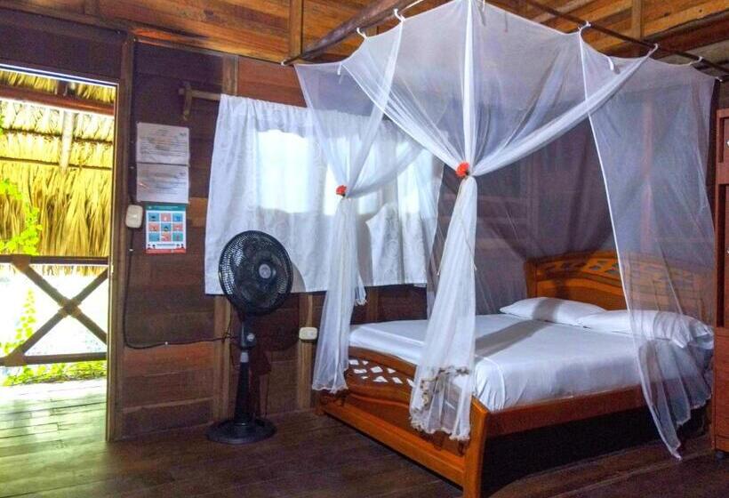 هاستل Primaluna Palomino