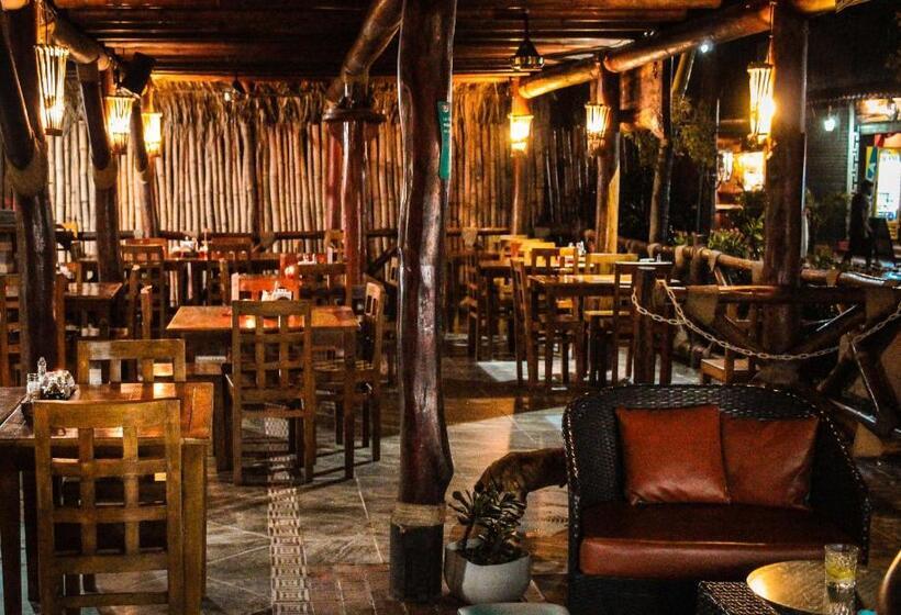 هاستل Primaluna Palomino