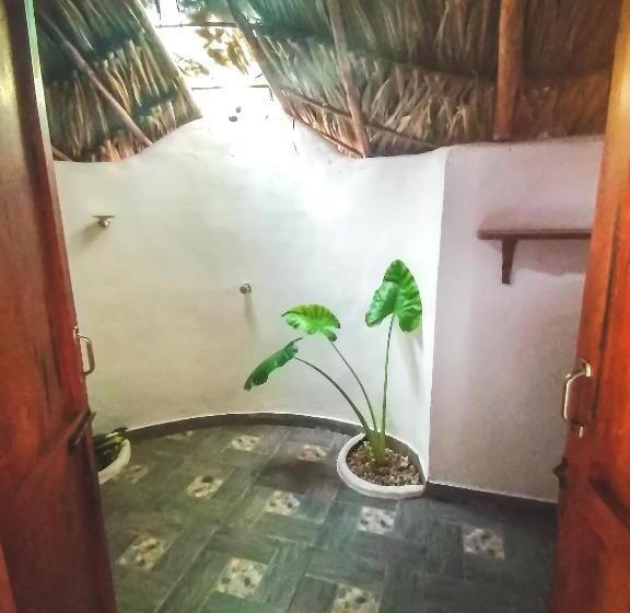 هاستل Primaluna Palomino