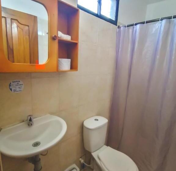 هاستل Primaluna Palomino