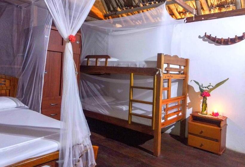 هاستل Primaluna Palomino