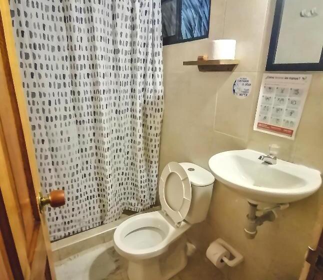 هاستل Primaluna Palomino