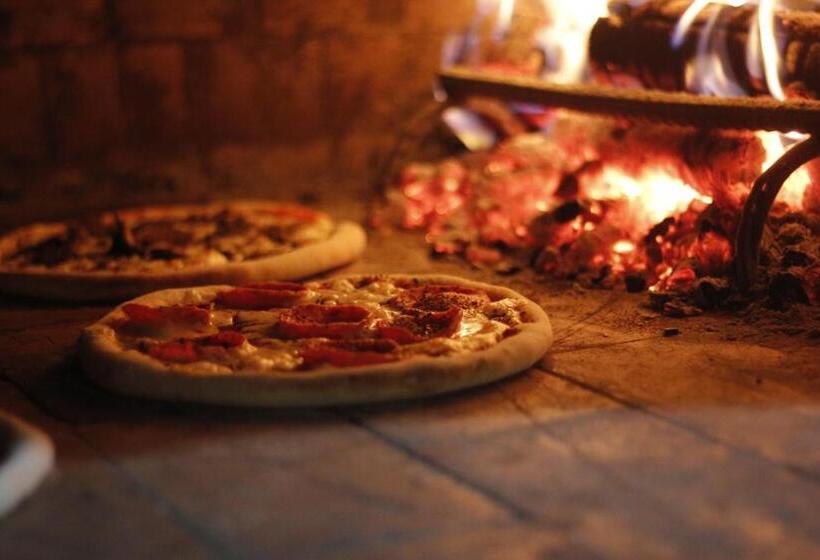 هاستل Primaluna Palomino