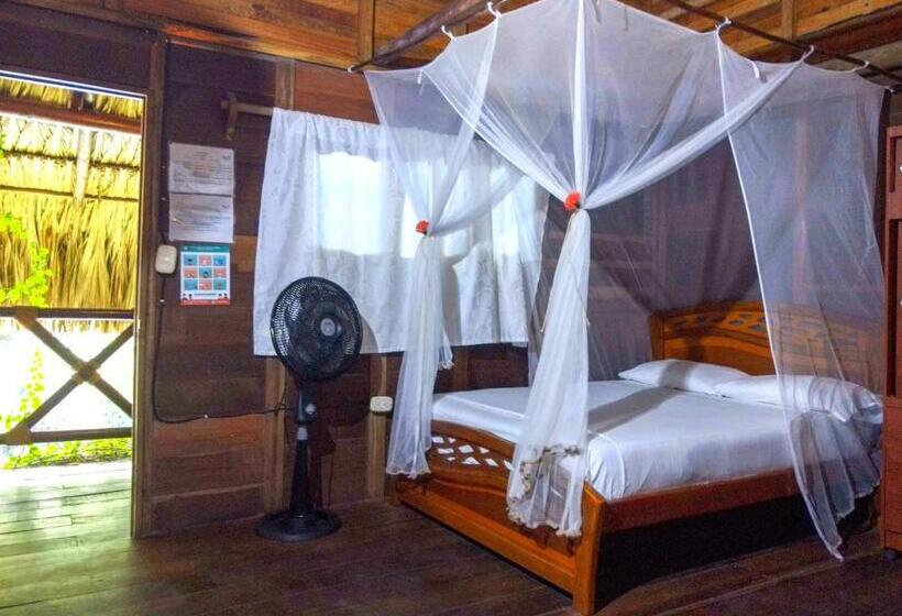 هاستل Primaluna Palomino