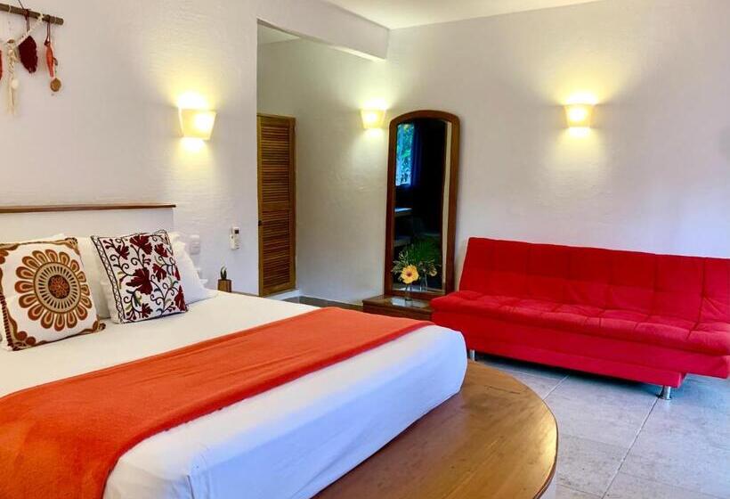 هاستل Primaluna Palomino