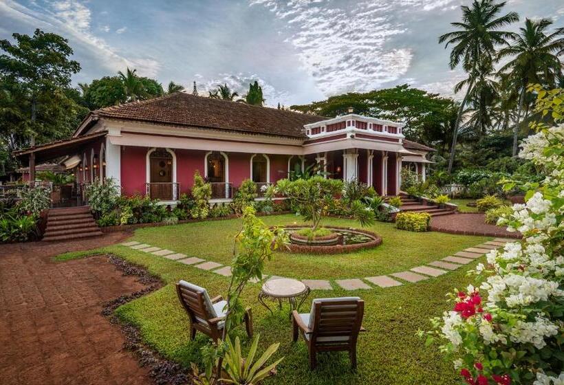 Bed and Breakfast Amrapali House Of Grace