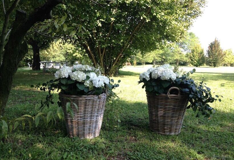 مبيت وإفطار Soloqui