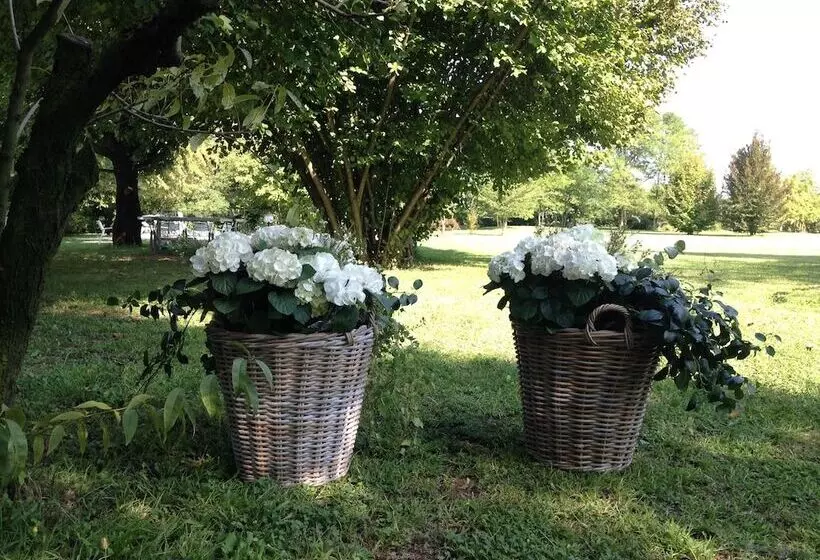 ベッドアンドブレックファースト Soloqui