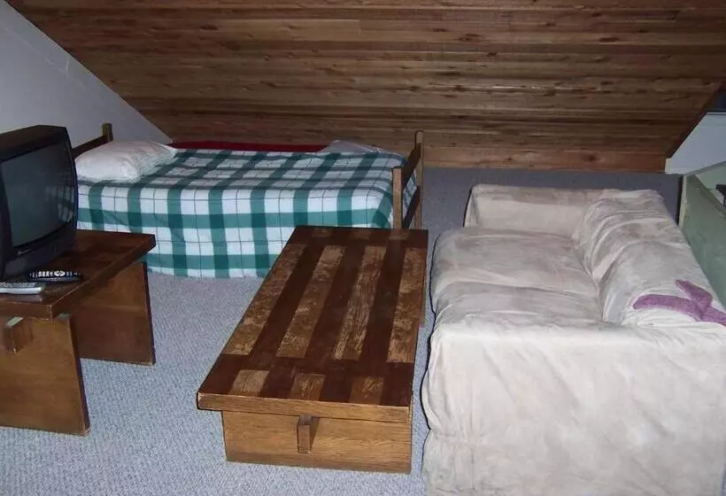 Hotelli Okemo Mountain Lodging